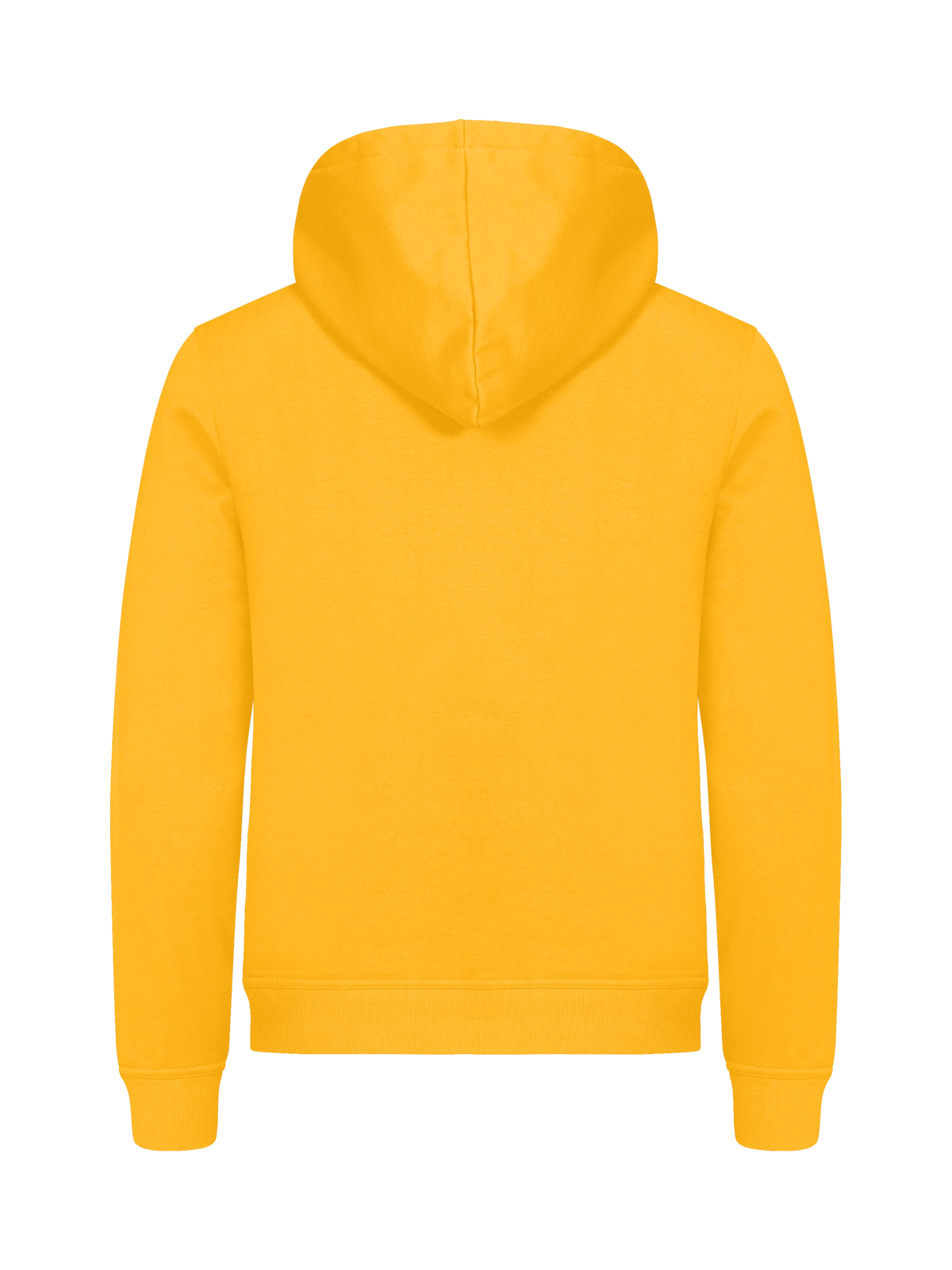 Clique Miami Hoody – Sitrongul – bakside