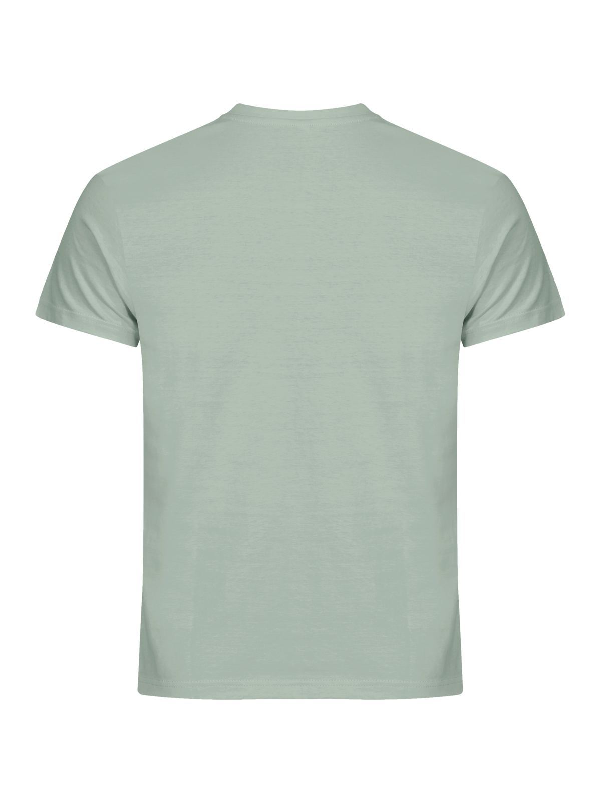 Clique Basic-T – Salviegrønn – bakside