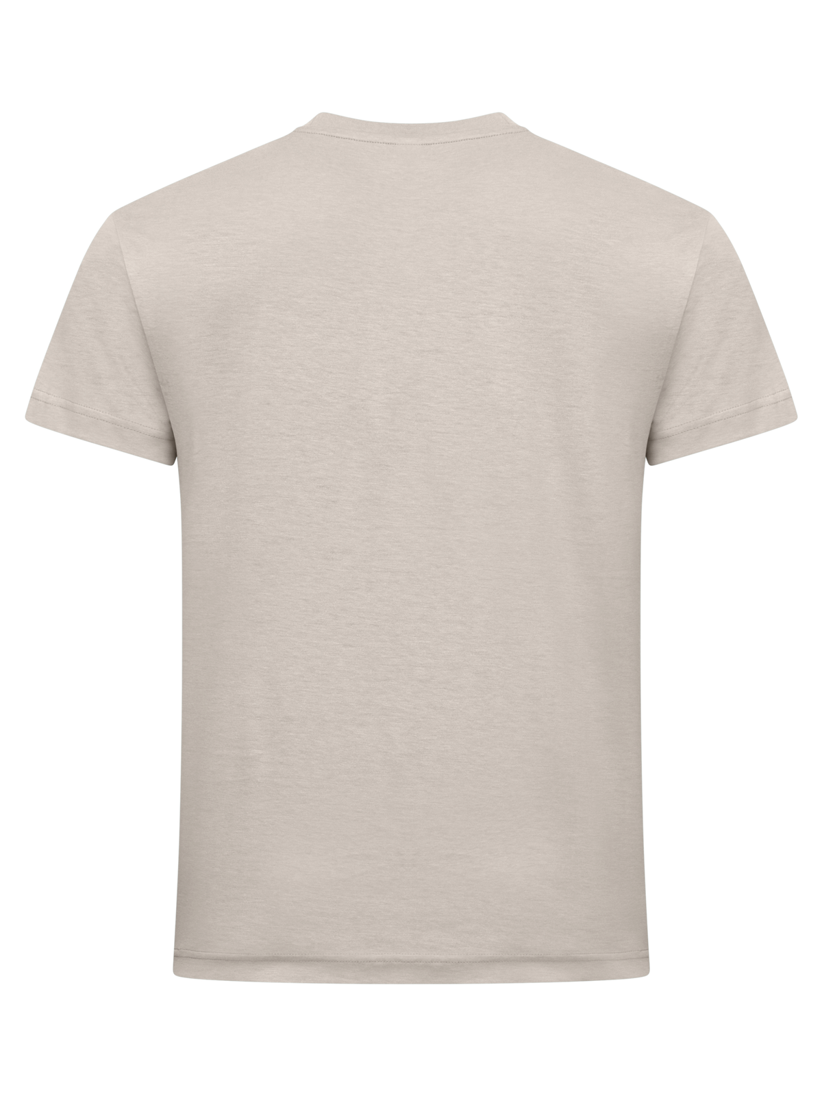 Clique New Classic-T – Stein – bakside